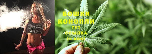 сатива Медвежьегорск