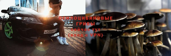 стафф Медногорск