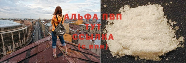 стафф Медногорск