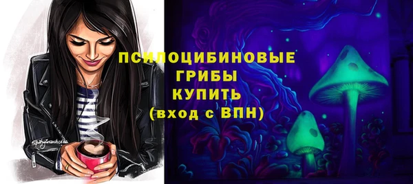 сатива Медвежьегорск