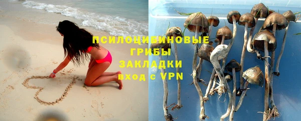 эйфоретик Магас