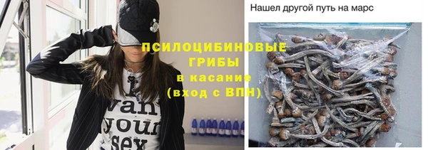 дурь Майский