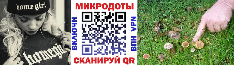 Купить Уфа Галлюциногенные грибы мицелий